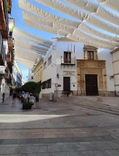 La Amura Centro 公寓 *